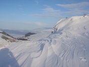 snowy view